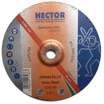 230x6 A24S-BF 2in1 Hector (egyéb inox tisztítókorong) Hector 36010253