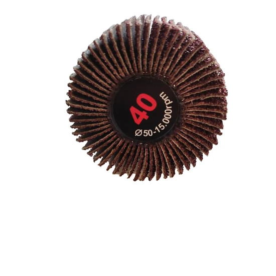 50x30x6 A 40 RLGsaturnus    FG (FG csapos lamelláskorong egész lapokból)  12270850