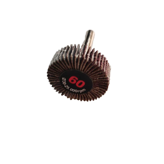 30x10x6 A 60 RLGsaturnus   .FG (FG csapos lamelláskorong egész lapokból)  12271350